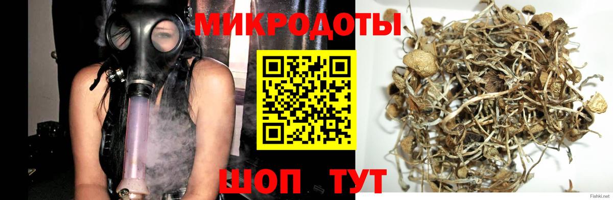 Псилоцибиновые грибы прущие грибы  Галлюциногенные грибы мицелий  Кудрово  закладка  Вход с VPN 